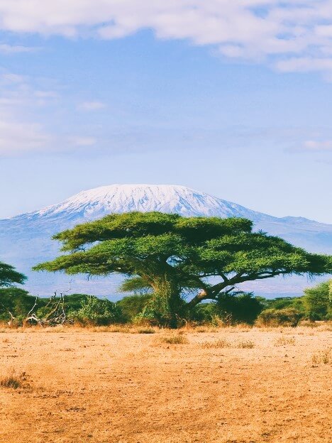 Flights to Kilimanjaro